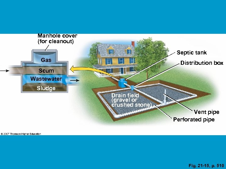 Manhole cover (for cleanout) Septic tank Gas Distribution box Scum Wastewater Sludge Drain field