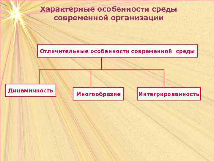 Характерные особенности среды современной организации Отличительные особенности современной среды Динамичность Многообразие Интегрированность 