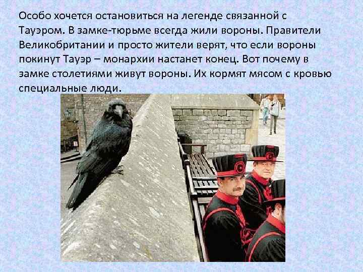 Особо хочется остановиться на легенде связанной с Тауэром. В замке-тюрьме всегда жили вороны. Правители