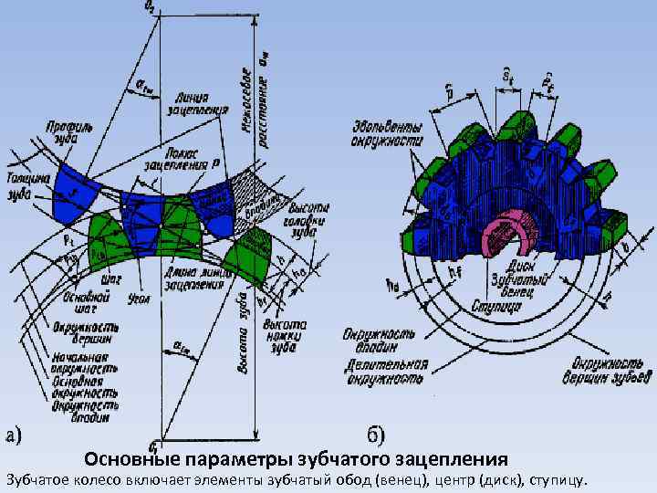 Основные параметры зубчатого зацепления Зубчатое колесо включает элементы зубчатый обод (венец), центр (диск), ступицу.