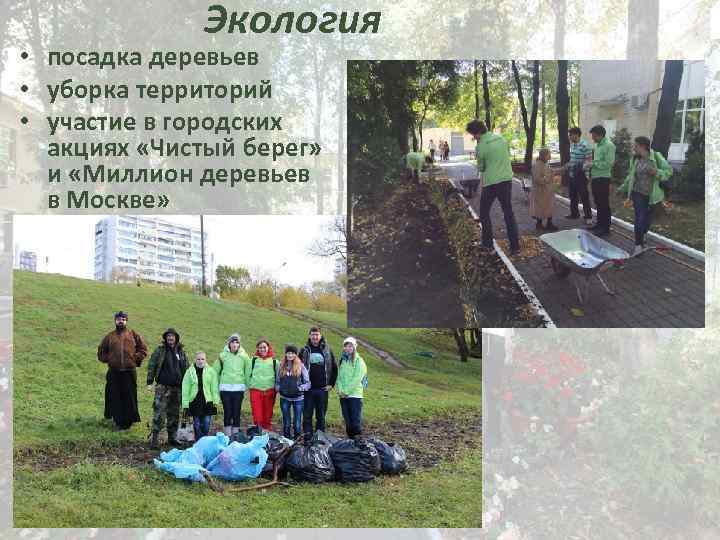Экология • посадка деревьев • уборка территорий • участие в городских акциях «Чистый берег»