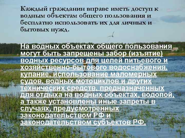 Доступ к водным объектам. Водные объекты общего пользования. Пользование водными объектами. Виды водных объектов.