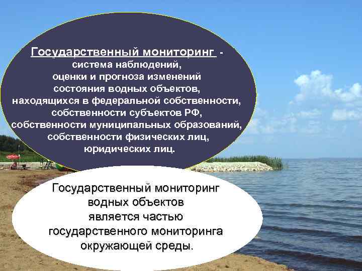 Система водных объектов. Государственный мониторинг водных объектов. Виды государственного мониторинга водных объектов. Подсистемы государственного мониторинга водных объектов. Правовой режим земель водного фонда.