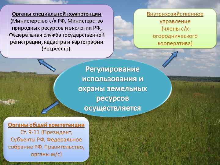 Управление использованием ресурсов. Государственный земельный надзор схема. Органы осуществляющие управление земельными ресурсами. Взаимодействие органов государственного земельного контроля. Органы специальной компетенции управления земельными ресурсами.