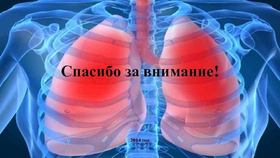 Спасибо за внимание! 2014 год 