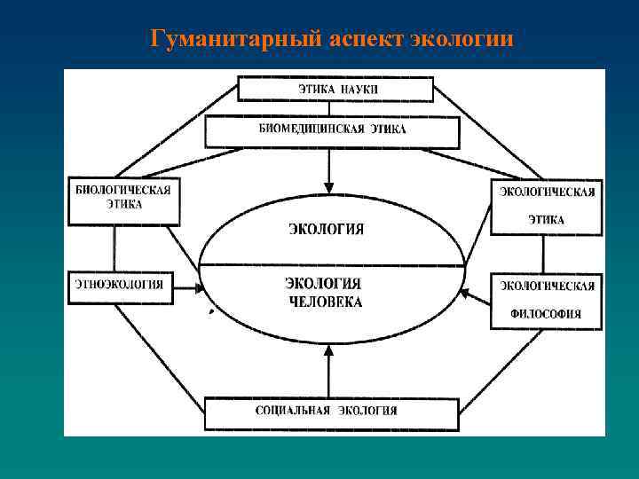 Гуманитарный аспект экологии 