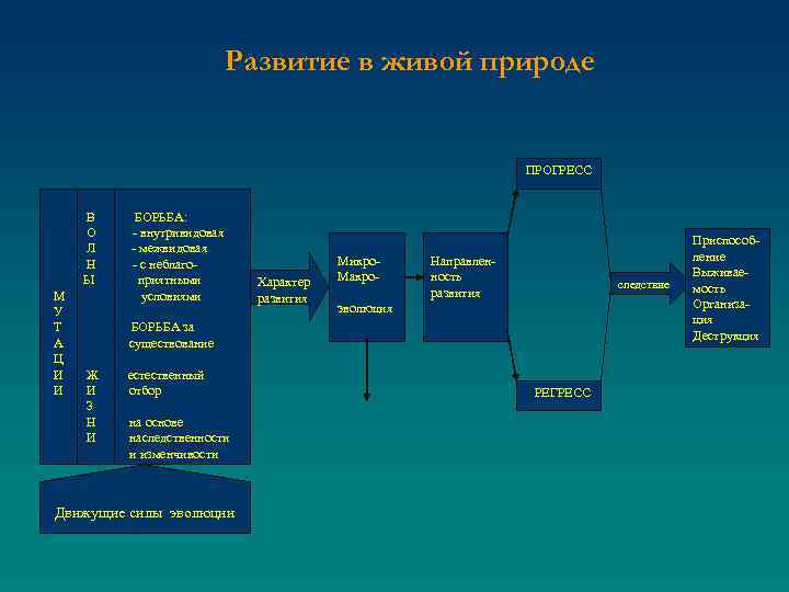 Развитие в живой природе ПРОГРЕСС В БОРЬБА: О - внутривидовая Л - межвидовая Н