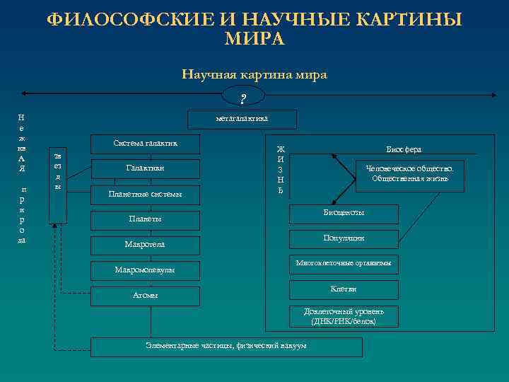 ФИЛОСОФСКИЕ И НАУЧНЫЕ КАРТИНЫ МИРА Научная картина мира ? Н е ж ив А