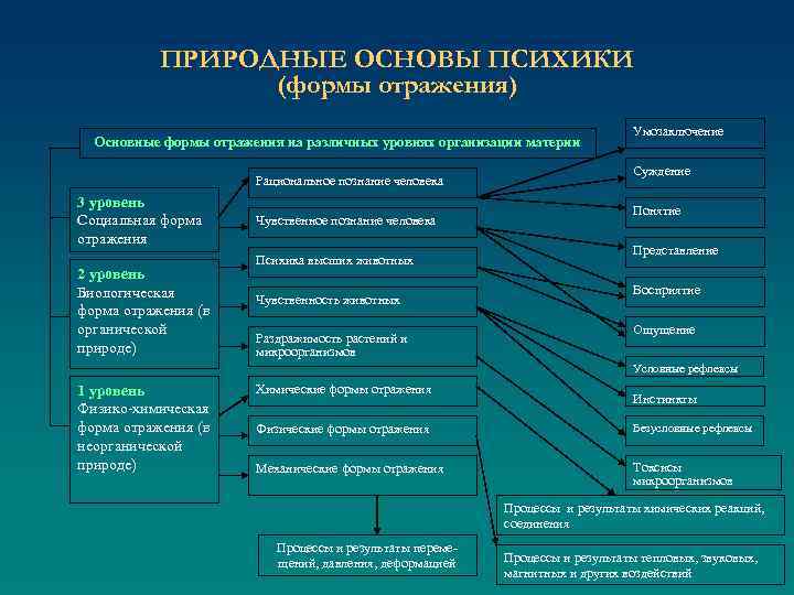 ПРИРОДНЫЕ ОСНОВЫ ПСИХИКИ (формы отражения) Основные формы отражения на различных уровнях организации материи Рациональное