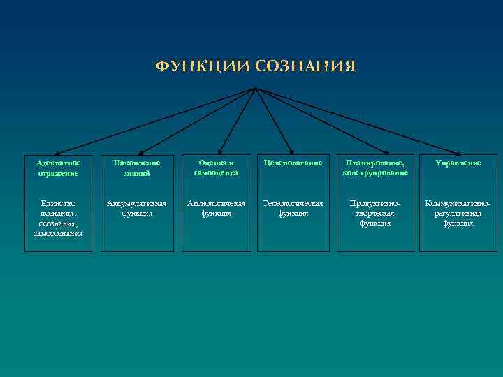 ФУНКЦИИ СОЗНАНИЯ Адекватное отражение Накопление знаний Оценка и самооценка Целеполагание Планирование, конструирование Управление Единство