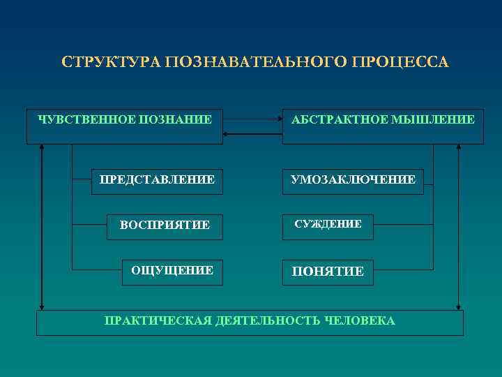 СТРУКТУРА ПОЗНАВАТЕЛЬНОГО ПРОЦЕССА ЧУВСТВЕННОЕ ПОЗНАНИЕ ПРЕДСТАВЛЕНИЕ ВОСПРИЯТИЕ ОЩУЩЕНИЕ АБСТРАКТНОЕ МЫШЛЕНИЕ УМОЗАКЛЮЧЕНИЕ СУЖДЕНИЕ ПОНЯТИЕ ПРАКТИЧЕСКАЯ