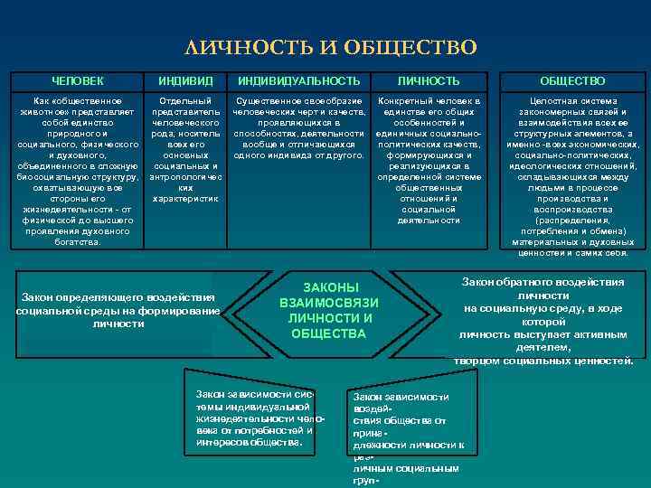 ЛИЧНОСТЬ И ОБЩЕСТВО ЧЕЛОВЕК ИНДИВИД Как «общественное Отдельный животное» представляет представитель собой единство человеческого