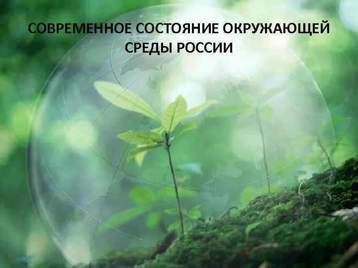 Современное состояние окружающей среды России