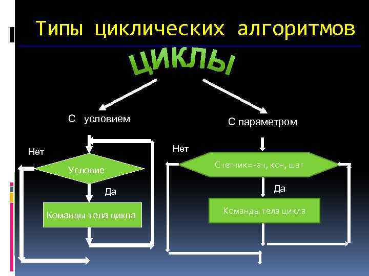 К циклическим видам относятся