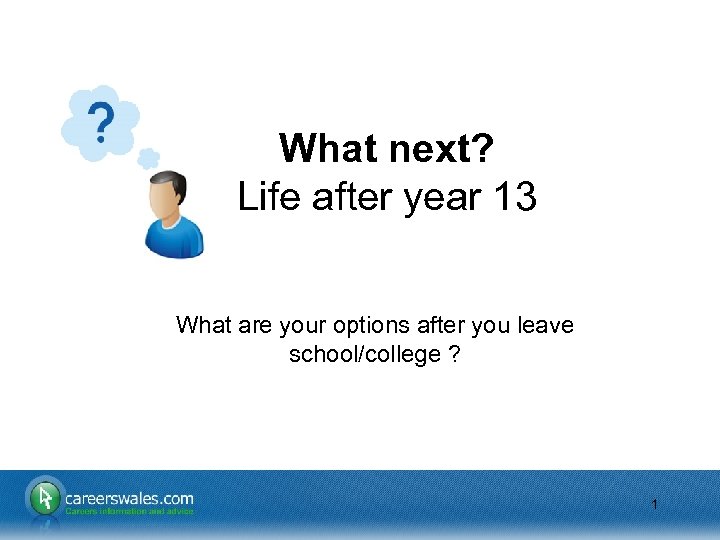 What next? Life after year 13 What are your options after you leave school/college