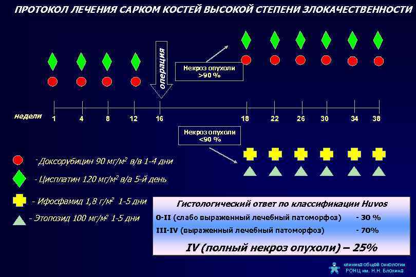 операция ПРОТОКОЛ ЛЕЧЕНИЯ САРКОМ КОСТЕЙ ВЫСОКОЙ СТЕПЕНИ ЗЛОКАЧЕСТВЕННОСТИ недели 1 4 8 12 Некроз