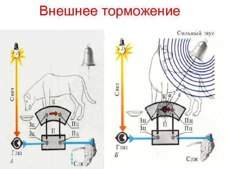 Внешнее торможение 