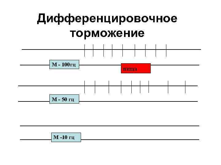 Дифференцировочное торможение М - 100 гц М - 50 гц М -10 гц пища