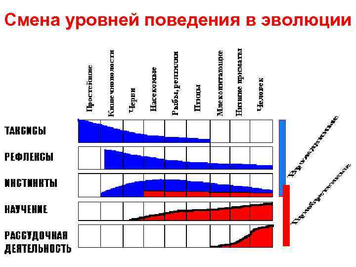 Смена уровней поведения в эволюции 