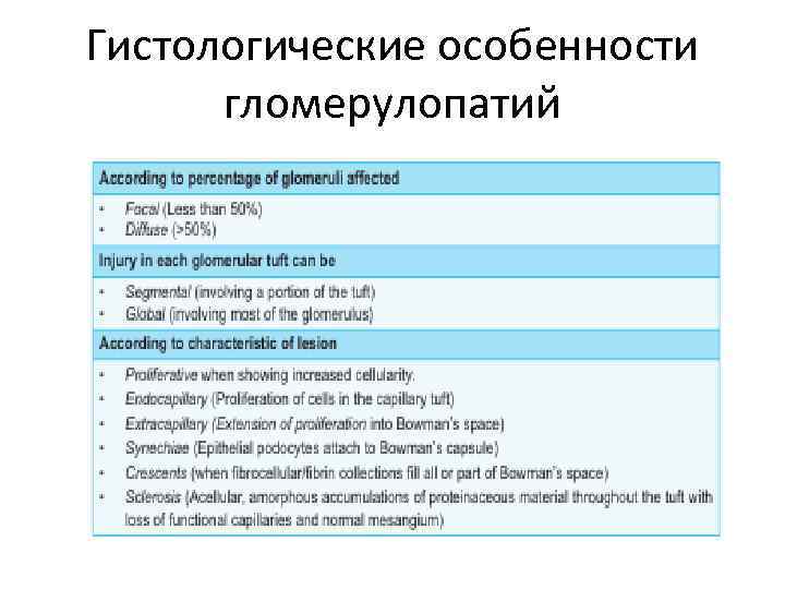 Гистологические особенности гломерулопатий 