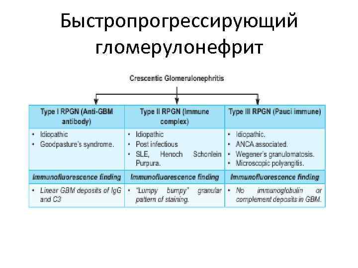 Быстропрогрессирующий гломерулонефрит 