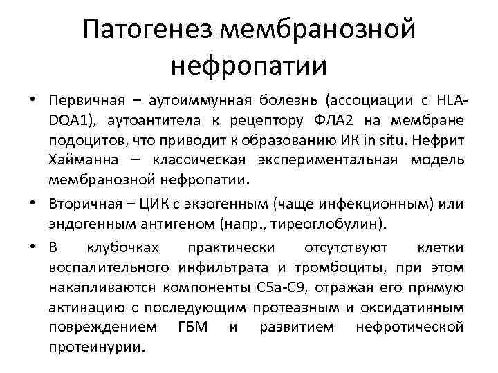 Патогенез мембранозной нефропатии • Первичная – аутоиммунная болезнь (ассоциации с HLADQA 1), аутоантитела к