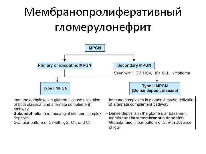 Мембранопролиферативный гломерулонефрит 