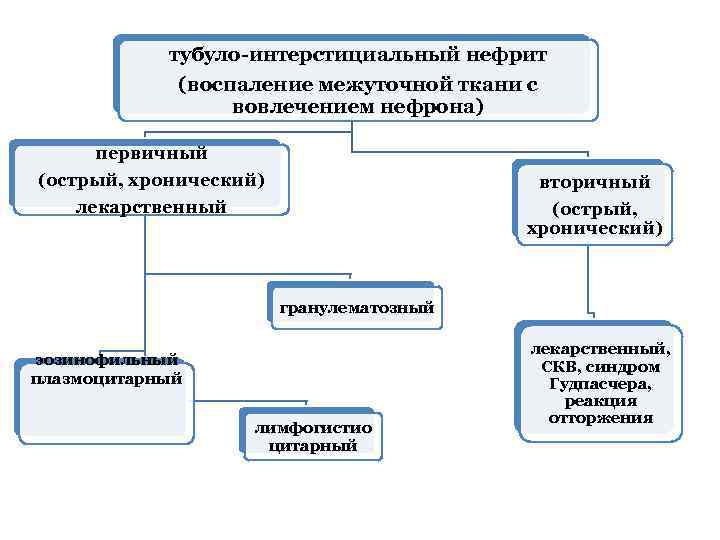 тубуло-интерстициальный нефрит (воспаление межуточной ткани с вовлечением нефрона) первичный (острый, хронический) лекарственный вторичный (острый,