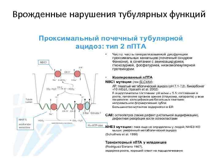 Врожденные нарушения тубулярных функций 