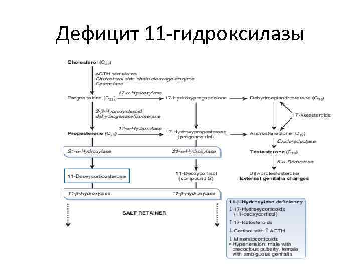 При значительном дефиците 21 гидроксилазы развивается клиническая картина