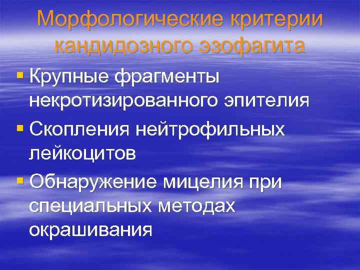 Морфологические критерии кандидозного эзофагита § Крупные фрагменты некротизированного эпителия § Скопления нейтрофильных лейкоцитов §