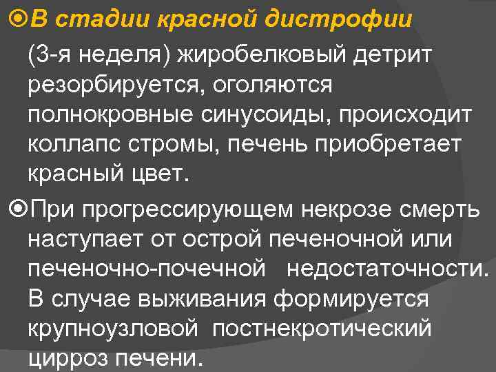  В стадии красной дистрофии (3 я неделя) жиробелковый детрит резорбируется, оголяются полнокровные синусоиды,