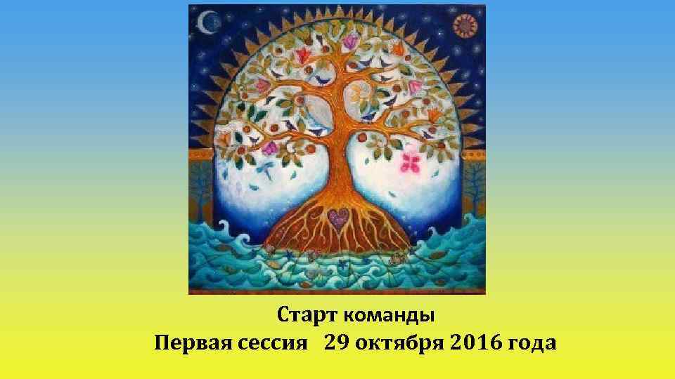 Старт команды Первая сессия 29 октября 2016 года 