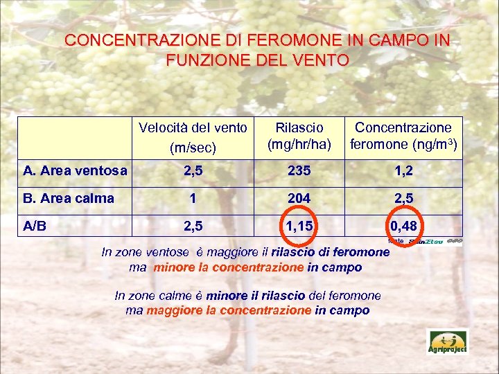CONCENTRAZIONE DI FEROMONE IN CAMPO IN FUNZIONE DEL VENTO Velocità del vento (m/sec) B.