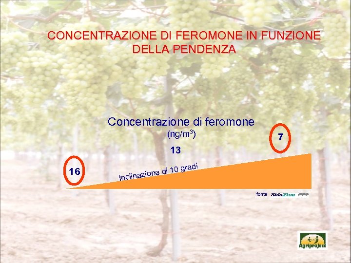CONCENTRAZIONE DI FEROMONE IN FUNZIONE DELLA PENDENZA Concentrazione di feromone (ng/m 3) 7 13