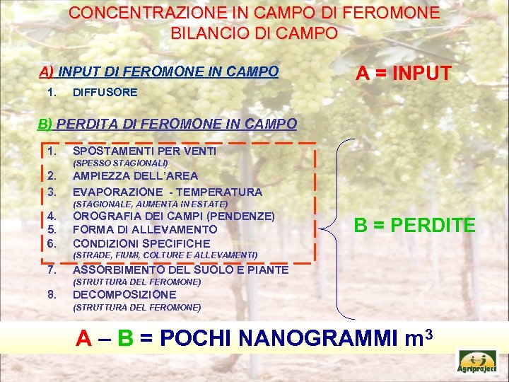 CONCENTRAZIONE IN CAMPO DI FEROMONE BILANCIO DI CAMPO A) INPUT DI FEROMONE IN CAMPO