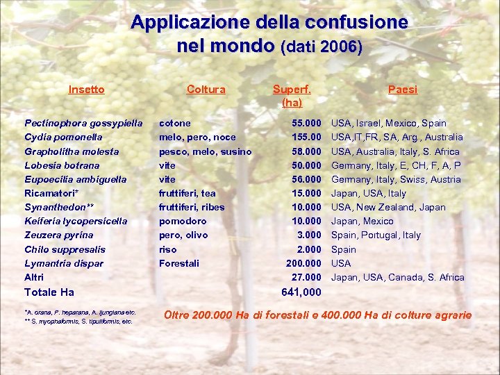 Applicazione della confusione nel mondo (dati 2006) Insetto Pectinophora gossypiella Cydia pomonella Grapholitha molesta