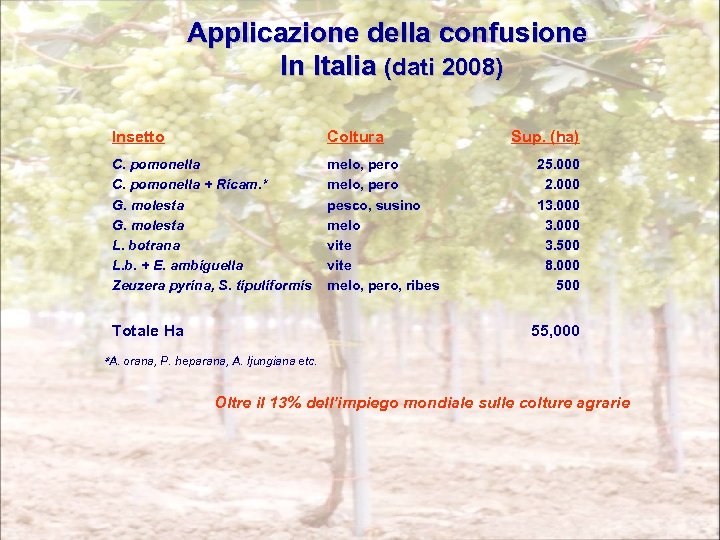 Applicazione della confusione In Italia (dati 2008) Insetto Coltura C. pomonella + Ricam. *