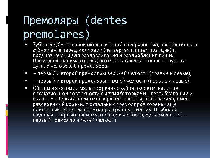 Премоляры (dentes premolares) Зубы с двубугорковой окклюзионной поверхностью, расположены в зубной дуге перед молярами