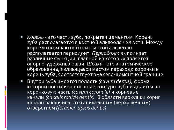  Корень - это часть зуба, покрытая цементом. Корень зуба располагается в костной альвеоле