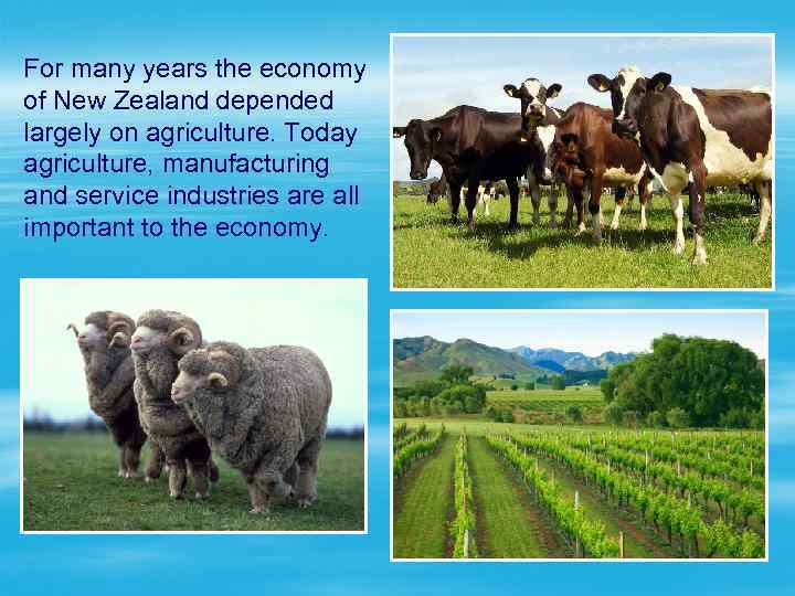 For many years the economy of New Zealand depended largely on agriculture. Today agriculture,