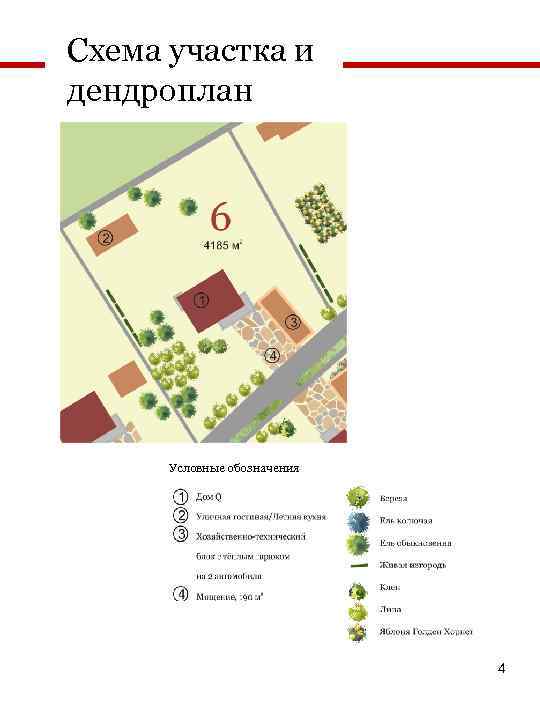 Схема участка и дендроплан Условные обозначения 4 