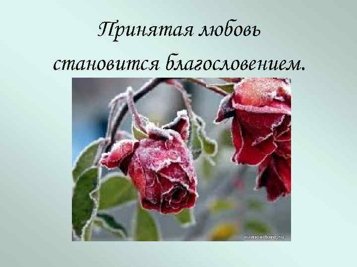 Принятая любовь становится благословением. 