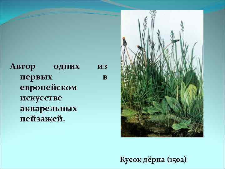 Автор одних первых европейском искусстве акварельных пейзажей. из в Кусок дёрна (1502) 