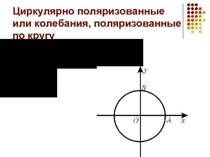 Циркулярно поляризованные или колебания, поляризованные по кругу 