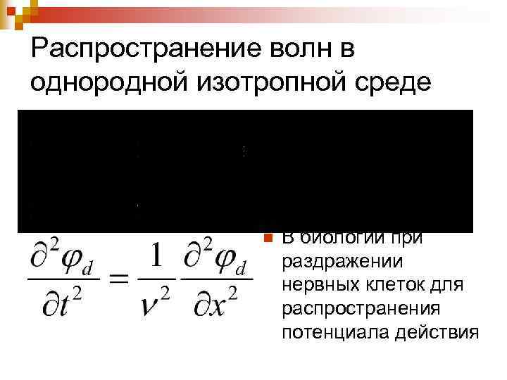 Распространение волн в однородной изотропной среде n В биологии при раздражении нервных клеток для