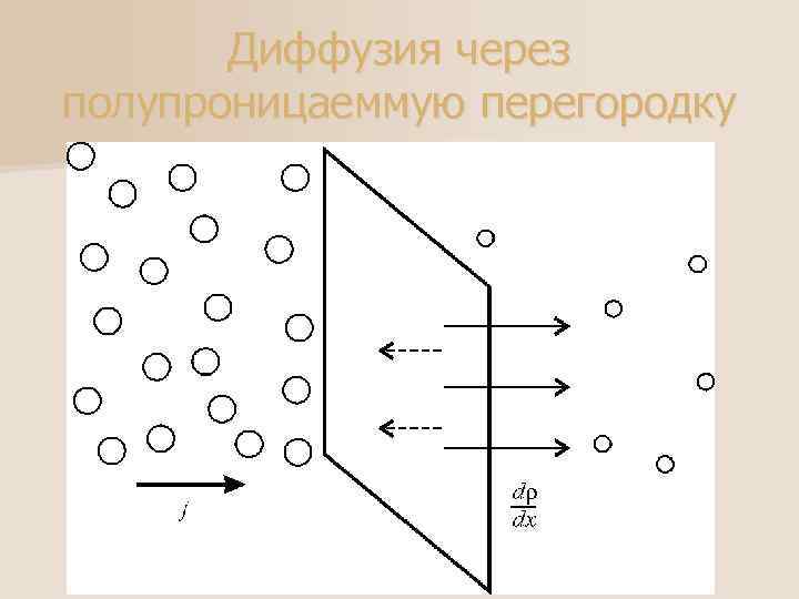 Диффузия через полупроницаеммую перегородку 