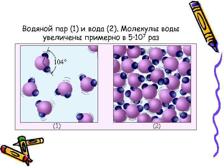 Водяной пар (1) и вода (2). Молекулы воды увеличены примерно в 5· 107 раз