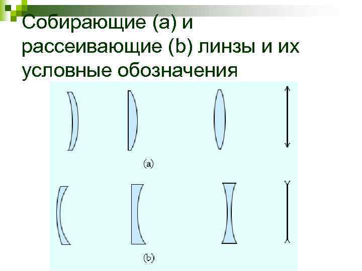 Как обозначаются на чертеже собирающая и рассеивающая линзы