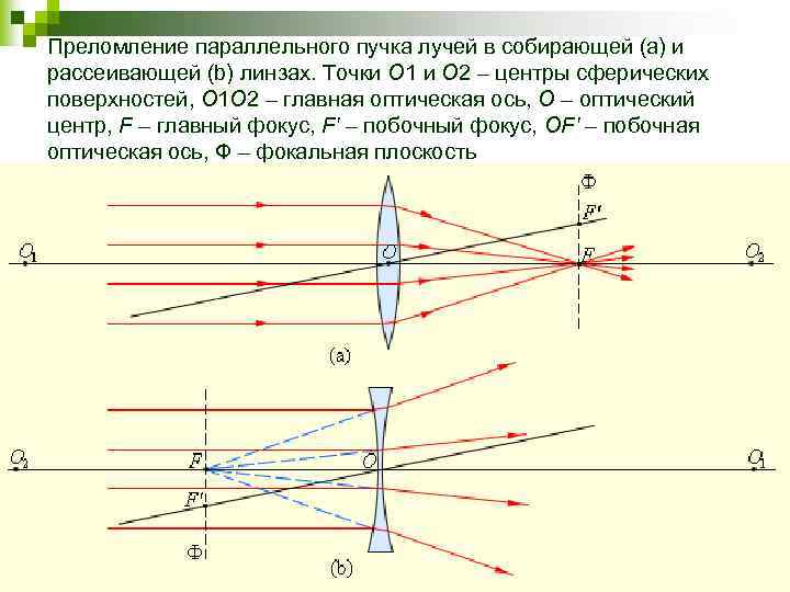 Преломление параллельного пучка лучей в собирающей (a) и рассеивающей (b) линзах. Точки O 1